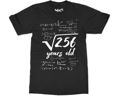 16th Birthday T-shirt Math Square Root 256 Tee 16 Years Old Bday Gifts