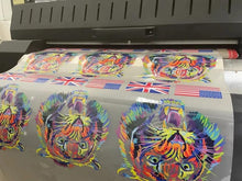 DTF Transfer Film Roll 60cm x 100M – Matte Hot Peel PET Film for DTF Printer Heat Transfer Printing