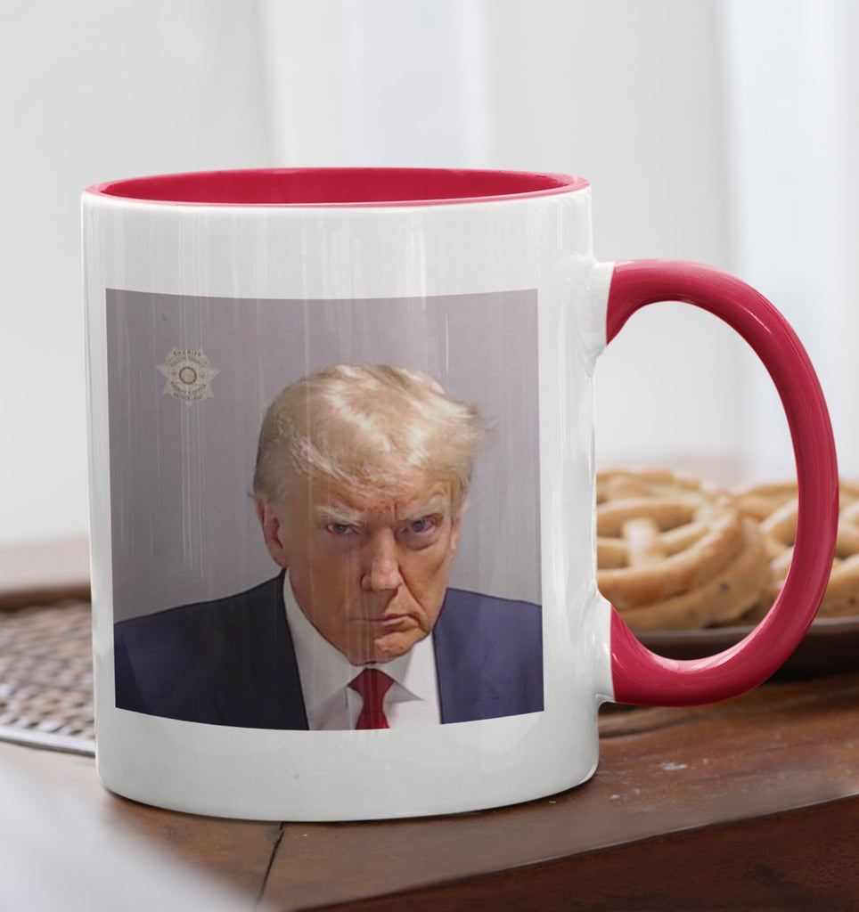 donald-trump-mugshot-jail-headshot-mug-president-trump-2024-funny-fake